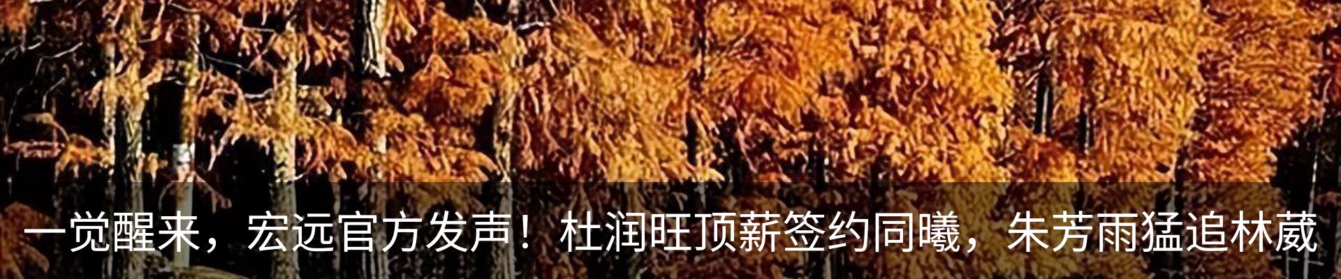新闻中心