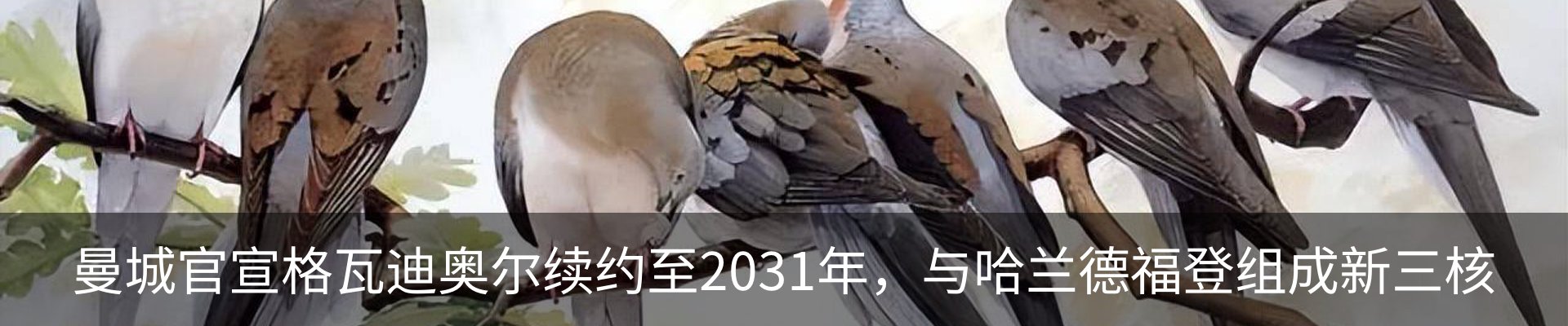 新闻中心