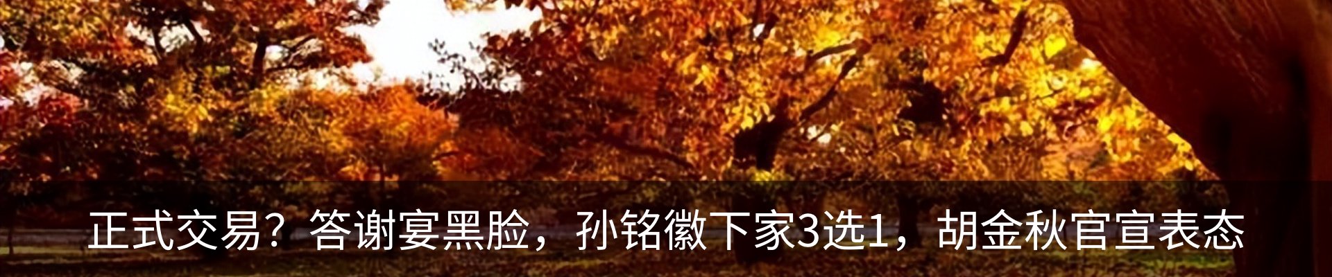 新闻中心
