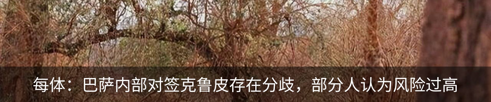 新闻中心