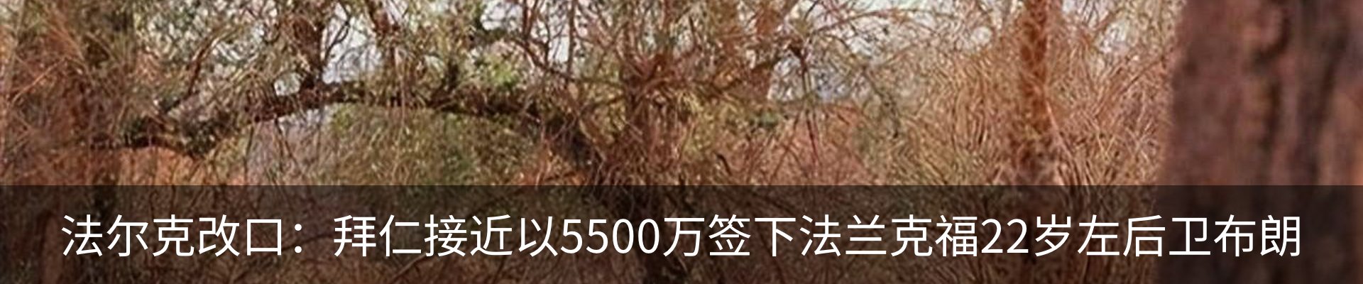 新闻中心