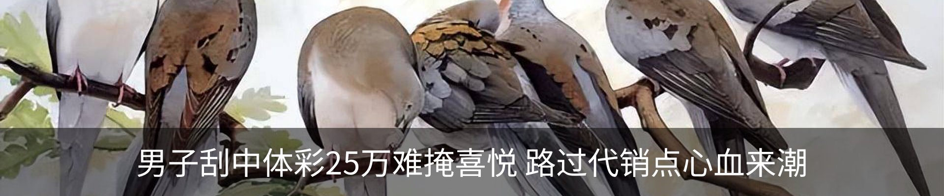 新闻中心